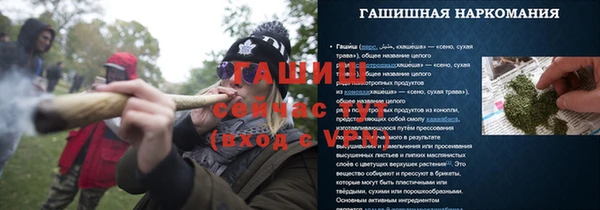 гидра Ладушкин