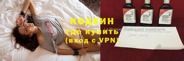 индика Шали