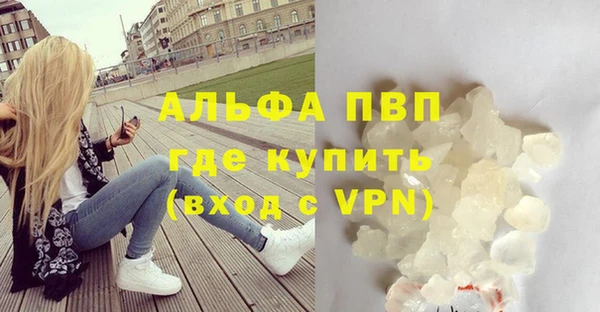 гидра Ладушкин