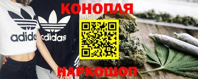 прущие грибы Дубна