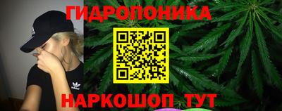 прущие грибы Дубна