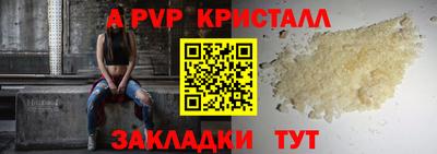 прущие грибы Дубна