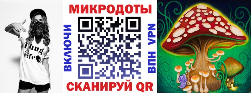KRAKEN онион  Махачкала  Псилоцибиновые грибы GOLDEN TEACHER 