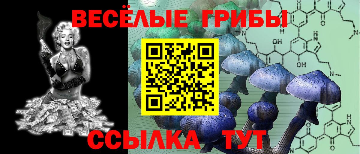 Псилоцибиновые грибы прущие грибы  купить закладку  Махачкала  Вход с VPN 