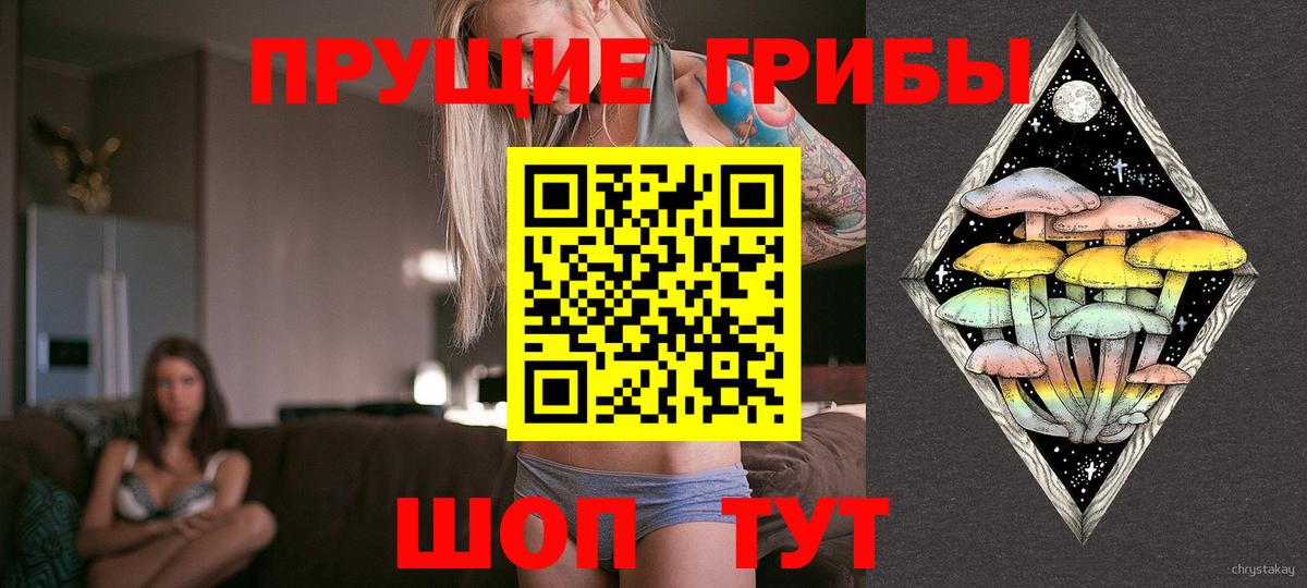 Марихуана Махачкала