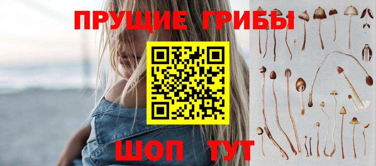 Галлюциногенные грибы мицелий Махачкала